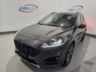 FORD Kuga 1.5 ecoblue ST-Line X 2wd 120cv auto