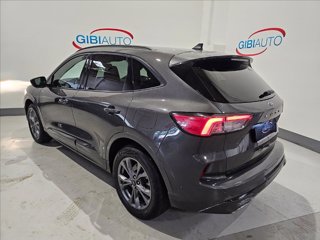 FORD Kuga 1.5 ecoblue ST-Line X 2wd 120cv auto