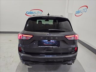 FORD Kuga 1.5 ecoblue ST-Line X 2wd 120cv auto