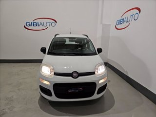 FIAT Panda 1.2 Lounge 69cv