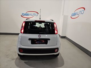 FIAT Panda 1.2 Easy s&s 69cv my19